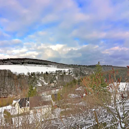Lovely Holiday Home In Diemelsee Near Ski Area Willingen Brilon